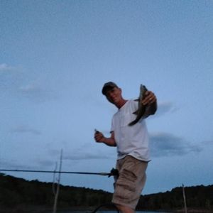 Meet your Posher, Jerry